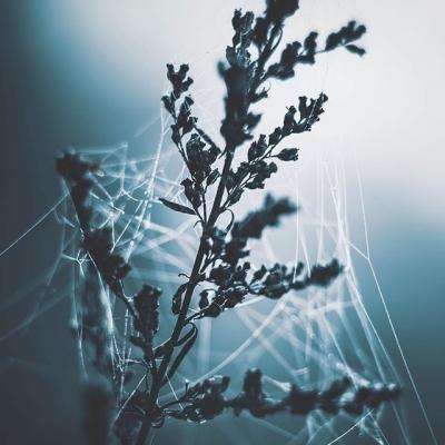 非凡体育APP下载手机app下载