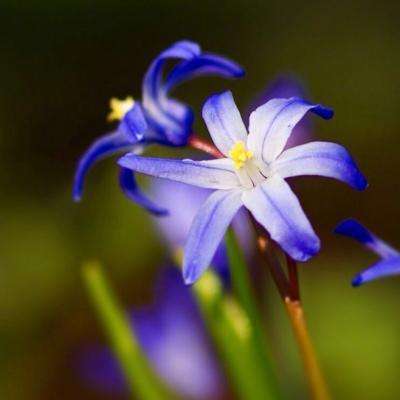 乐鱼(中国)官方网站下载手机版