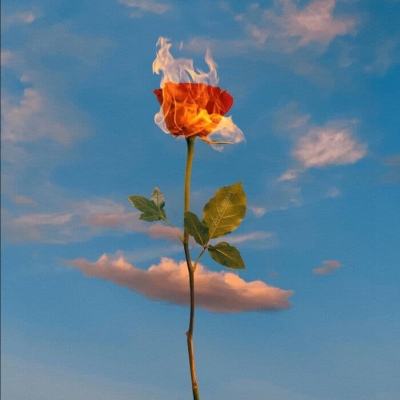 威尼斯wns·8885556