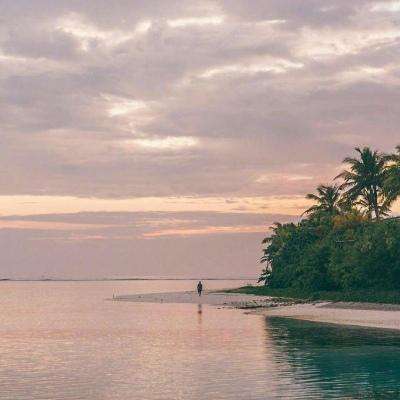 网络手机赌钱软件下载