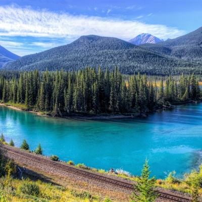 乐鱼官网手机版app下载