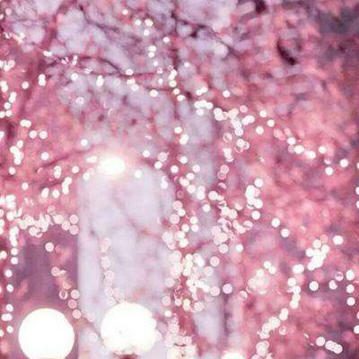 星空体育手机app下载