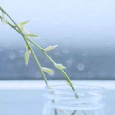 皇冠足彩官网下载最新版